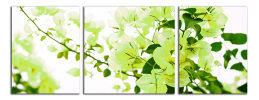 Obraz na plátně Zelené květy
