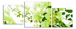 Obraz na plátně Zelené květy