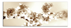 Obraz na plátně Hnědé květy