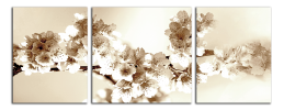 Obraz na plátně Hnědé květy