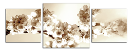 Obraz na plátně Hnědé květy