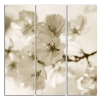 Obraz na plátně Květy 