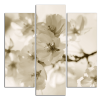 Obraz na plátně Květy 