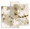 Obraz na plátně Květy 