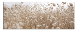 Obraz na plátně Béžová louka