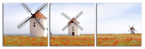 Obraz na plátně Větřné mlýny