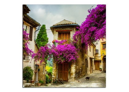 Provence