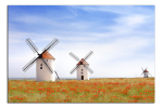 Obraz na plátně Větřné mlýny