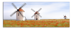 Obraz na plátně Větřné mlýny
