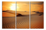 Obraz na plátně Poušť