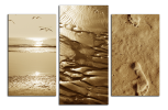 Obraz na plátně Detaily z pláže