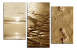 Obraz na plátně Detaily z pláže