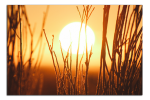 Obraz na plátně Západ slunce