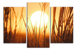 Obraz na plátně Západ slunce