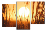 Obraz na plátně Západ slunce