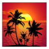 Obraz na plátně Západ slunce a palmy