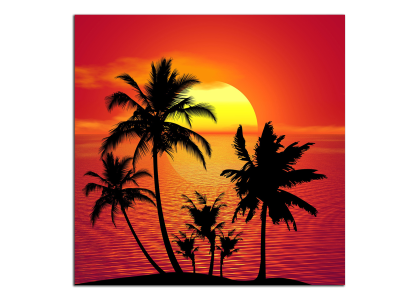 Západ slunce a palmy