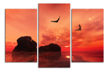 Obraz na plátně Skály a ptáci