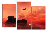 Obraz na plátně Skály a ptáci