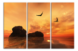 Obraz na plátně Kameny a ptáci