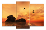 Obraz na plátně Kameny a ptáci