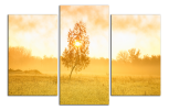 Obraz na plátně Strom na louce