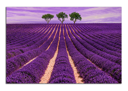 Provence