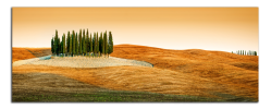 Obraz na plátně Toskánsko