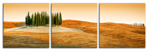 Obraz na plátně Toskánsko
