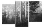Obraz na plátně Les