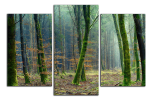 Obraz na plátně Stromy  