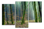 Obraz na plátně Stromy  