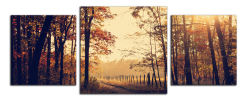 Obraz na plátně Lesní cesta