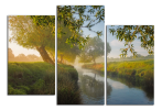 Obraz na plátně Stromy u řeky
