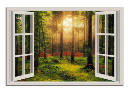 Okno do lesa