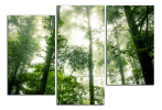 Obraz na plátně Zelený les