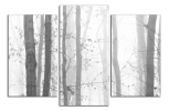Obraz na plátně Stromy  