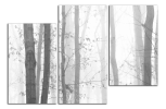 Obraz na plátně Stromy  