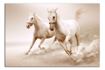 Obraz na plátně Koně