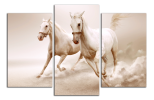 Obraz na plátně Koně