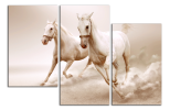 Obraz na plátně Koně