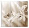 Obraz na plátně Motýl