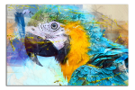 Obraz na plátně Barevný papoušek