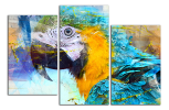 Obraz na plátně Barevný papoušek