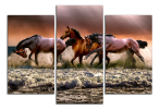 Obraz na plátně Koně a moře
