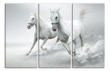 Obraz na plátně Koně