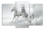 Obraz na plátně Koně