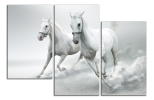 Obraz na plátně Koně
