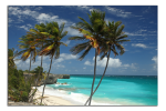 Obraz na plátně Barbados