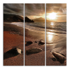 Obraz na plátně Hnědá pláž